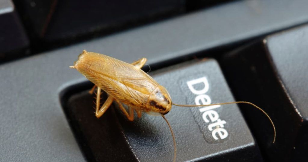 Уничтожение тараканов в офисе в Энгельсе